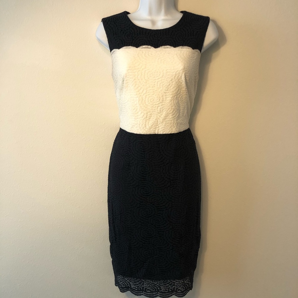 Karl Lagerfeld Navy/White Lace Sheath Dress SZ 8